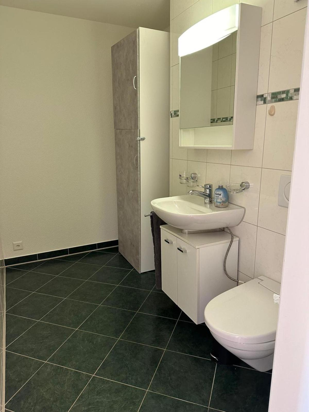 Interlaken Best View Deluxe Apartment المظهر الخارجي الصورة